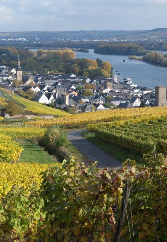 R&uuml;desheim am Rhein