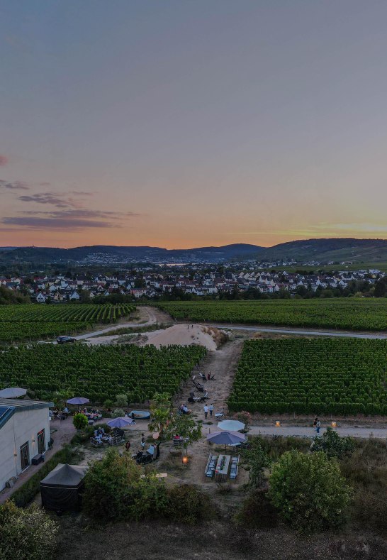 drone-daniel | © Weingut Dillmann