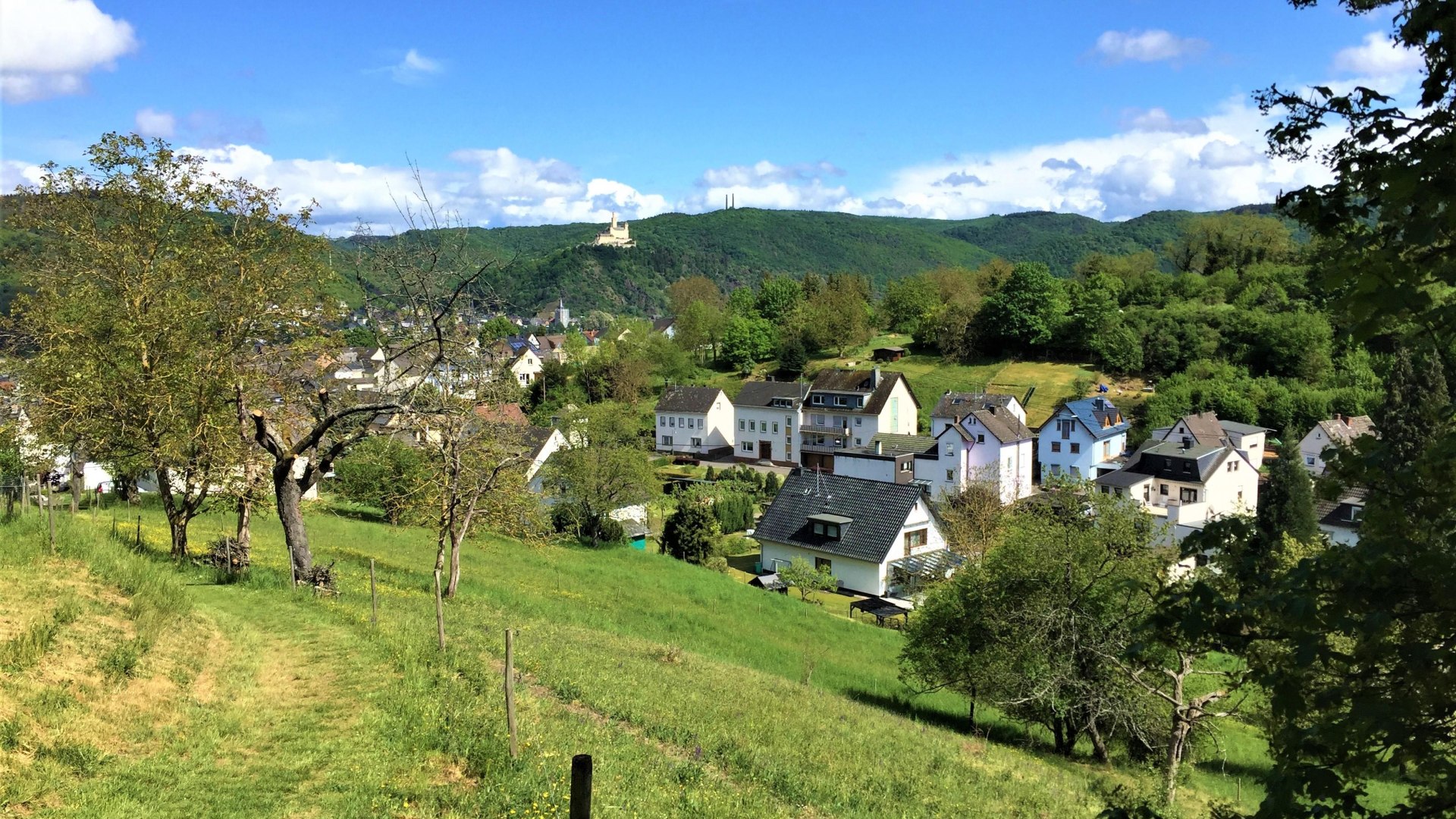 Weitblick | © VVV Brey Weitblick | © VVV Brey