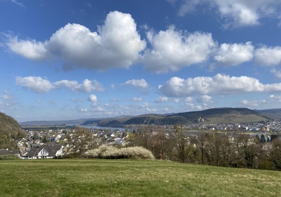 Fichtelwiese | © Tourist-Information Bad Breisig Fichtelwiese | © Tourist-Information Bad Breisig