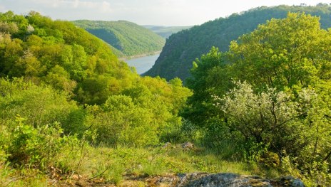 Leiselfeld im Frühling | © Dominik Ketz, Rheinland-Pfalz Tourismus GmbH