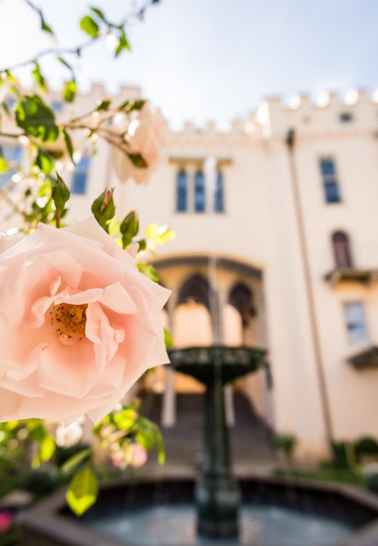 Stolzenfels Pergolagarten | &copy; Rheinland-Pfalz Tourismus GmbH / Dominik Ketz