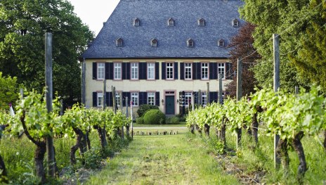 Weingut Baron Knyphausen | © Weingut Baron Knyphausen Weingut Baron Knyphausen | © Weingut Baron Knyphausen
