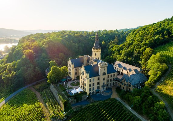 Schloss Arenfels von oben | &copy; Mahlow Media