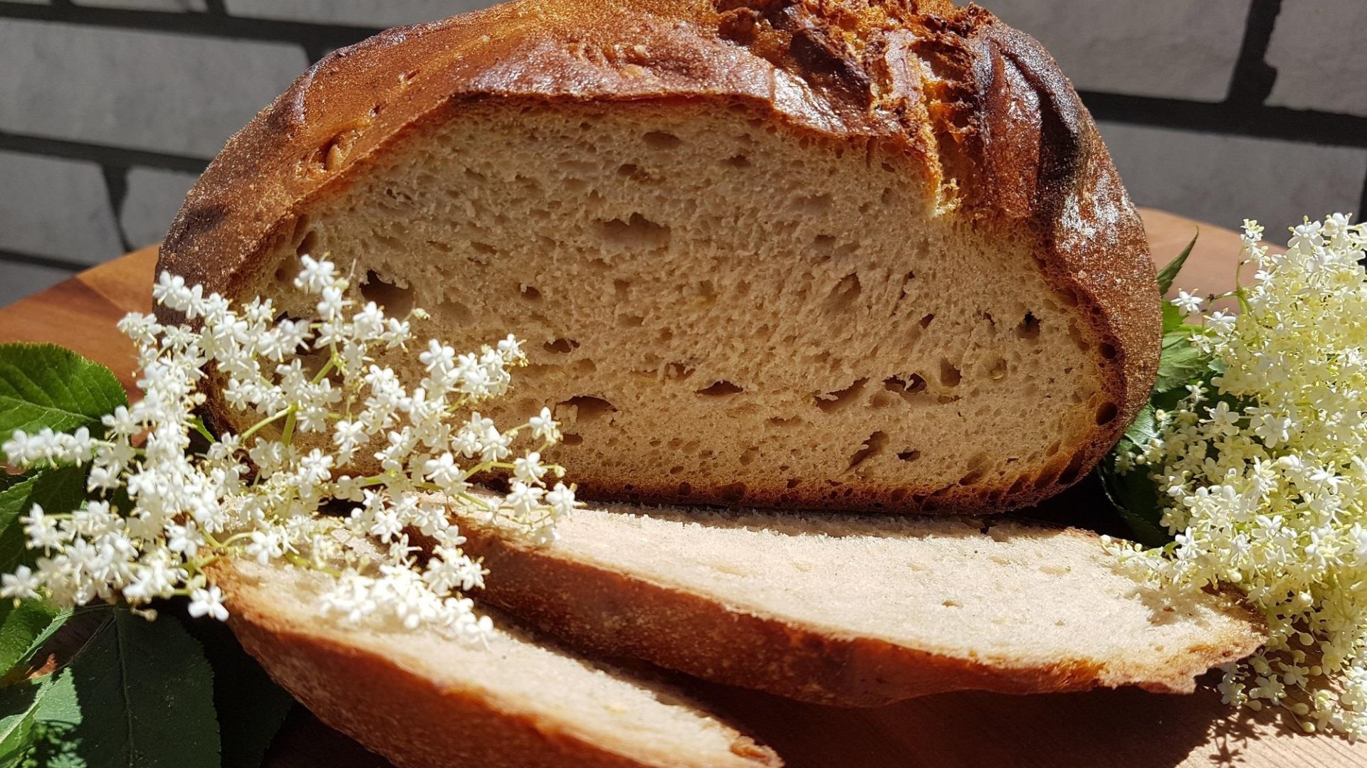 Holunderbrot | &copy; &copy;VG Wei&szlig;enthurm