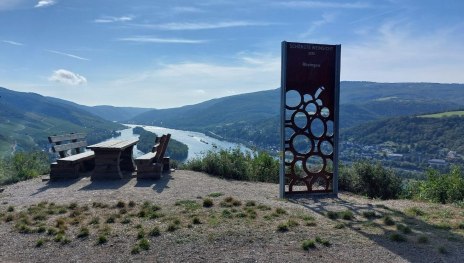 Sch&ouml;nste Weinsicht 2020 - Burg Nollig Lorch am Rhe | &copy; Sabrina Klassen