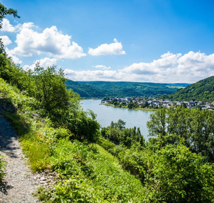 Zecherweg bei Braubach | © Henry Tornow Zecherweg bei Braubach | © Henry Tornow