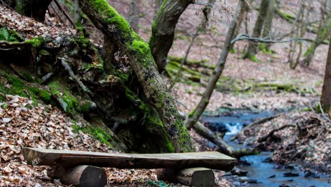 Pulsbachklamm | © Joachim Hewel Pulsbachklamm | © Joachim Hewel