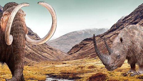 Mammut und Wollnashorn in Mammutsteppe_Comicstyle | &copy; LEIZA/N. Vieh&ouml;ver