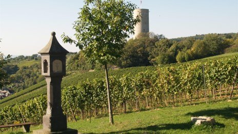 Wanderung zur Burgruine Scharfenstein | © Wolfgang Blum