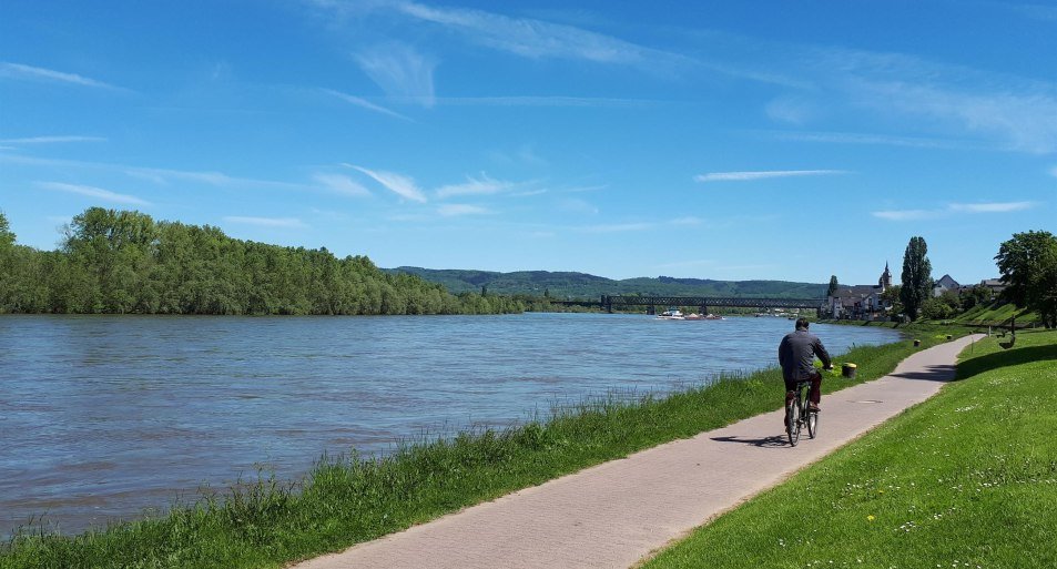 Rheinradweg | © Romantischer Rhein Tourismus GmbH Rheinradweg | © Romantischer Rhein Tourismus GmbH