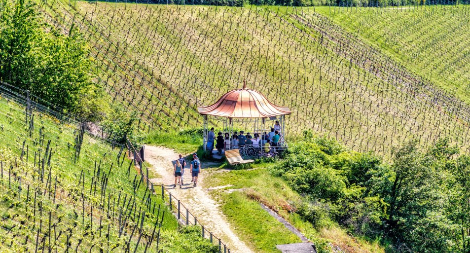 Rotweinlaube in Assmannshausen | &copy; Marlis Steinmetz