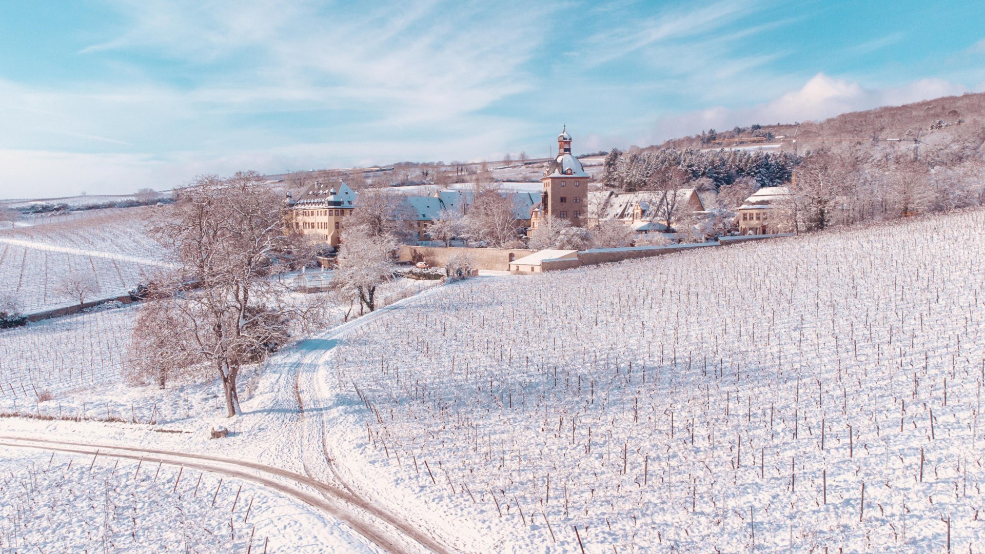 Winter Schloss Vollrads | © WeinsheimersWelten Winter Schloss Vollrads | © WeinsheimersWelten