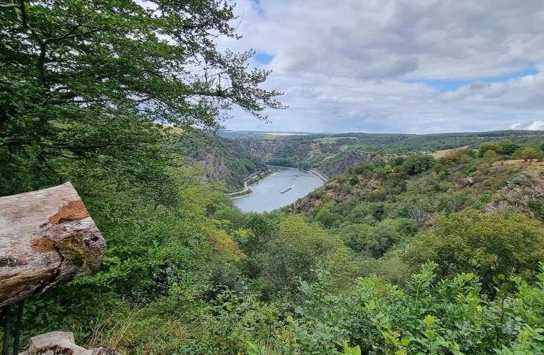 Lennig Fernrohr mit Aussicht | &copy; Loreley Touristik GmbH