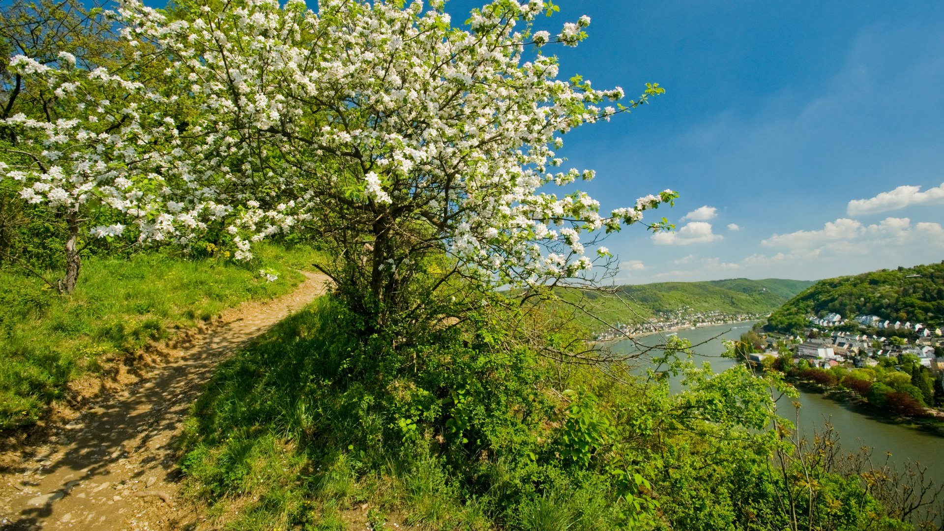 Filsener Ley im Fr&uuml;hling | &copy; Dominik Ketz / Rheinland-Pfalz Tourismus GmbH