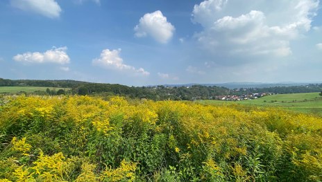 Rheinh&ouml;he Oberwinter und Siebengebirge | &copy; Tourist-Information Remagen, Romantischer Rhein Tourismus GmbH
