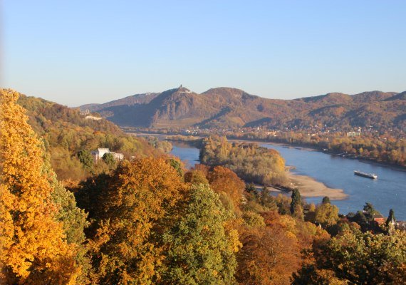 Blick vom Aussichtsturm auf das Siebengebirge | &copy; Tessa von L&uuml;dinghausen