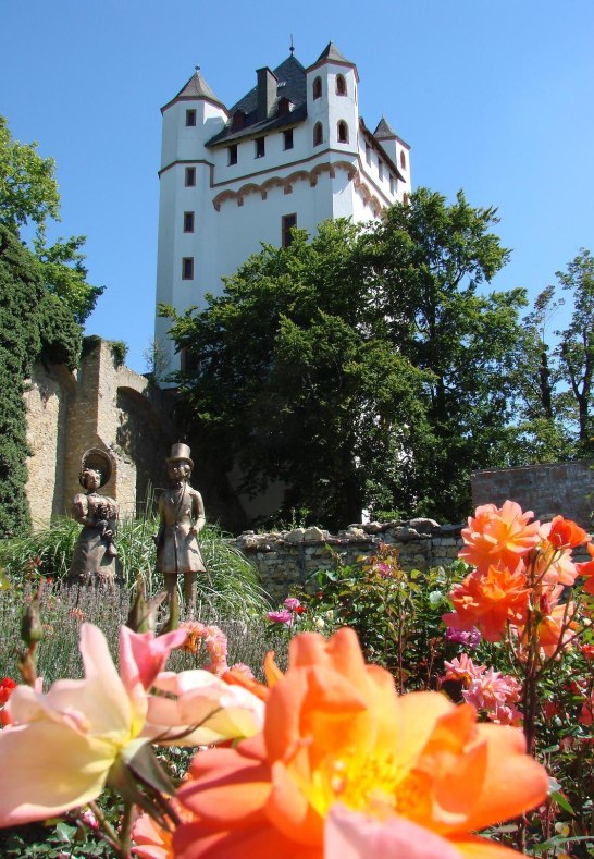 Kurf&uuml;rstliche Burg Eltville Rosen | &copy; Kurf&uuml;rstliche Burg Eltville