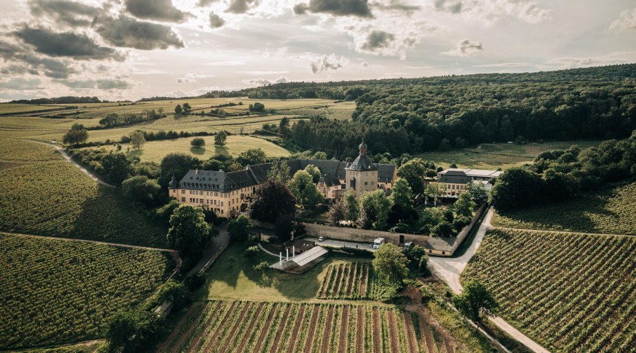 Weingut Schloss Vollrads | © Schloss Vollrads