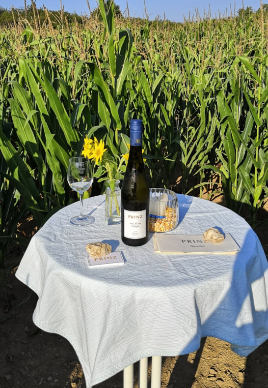 Maislabyrinth 3 | © Florian Prinz