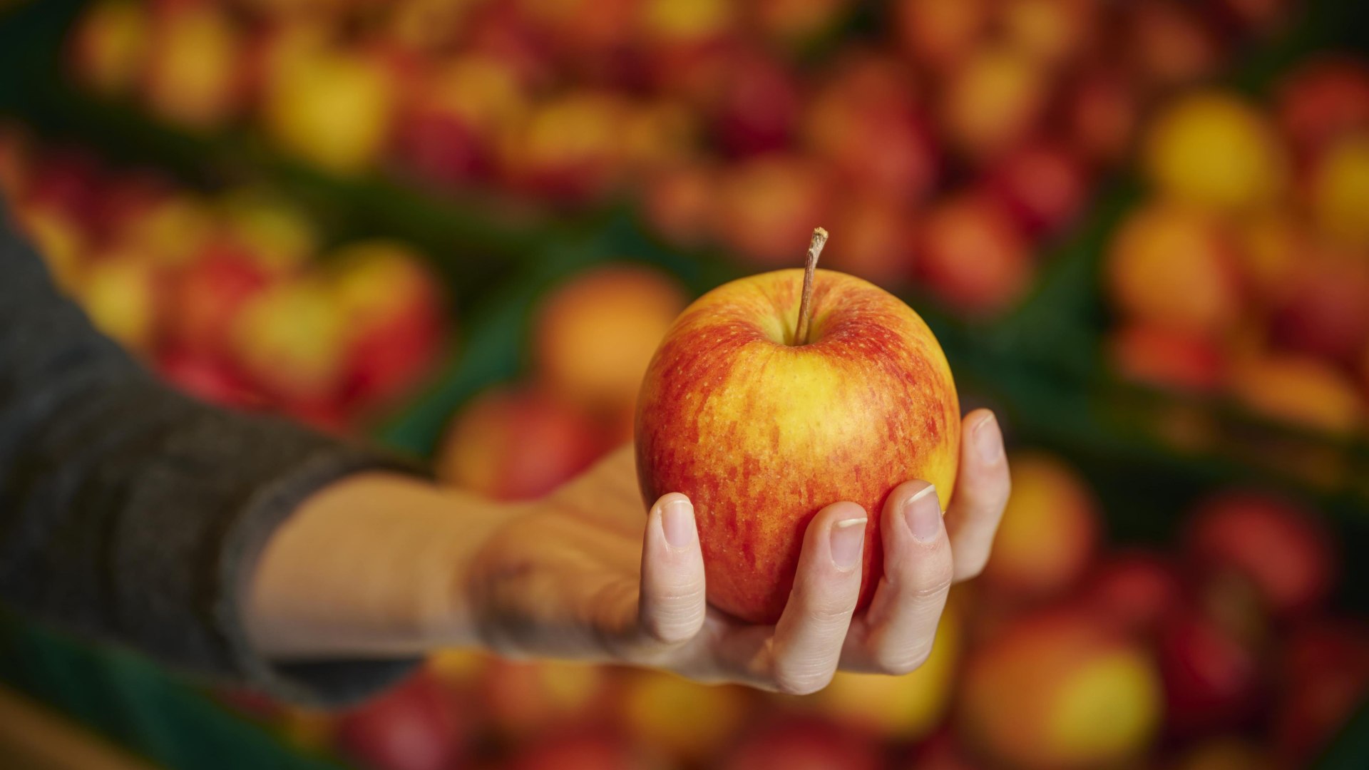 Hofladen | © Klaus-Peter Kappest Hofladen | © Klaus-Peter Kappest