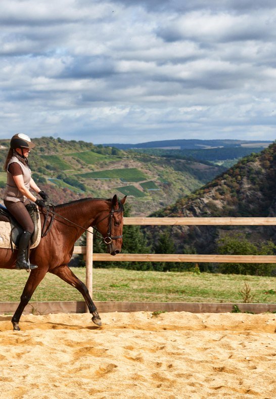 Hof.Hardth&ouml;he.Reiten.Roundpen5 | &copy; Tourist-Information Oberwesel