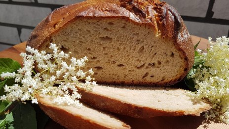 Holunderbrot | &copy; VG Wei&szlig;enhturm