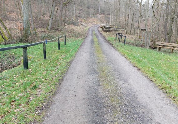 Weg an der Br&uuml;cke | &copy; T. Biersch