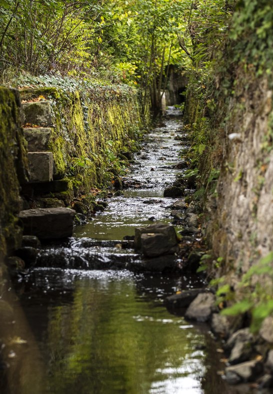 Kisselbach | &copy; Sven Moschitz