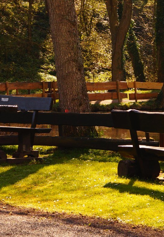 Sitzbänke | © Tourist-Information Erlebnis Rheinbogen Sitzbänke | © Tourist-Information Erlebnis Rheinbogen