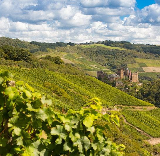 Weingut Lanius-Knab_Engeh&ouml;ller Bernstein_Sch&ouml;nburg | &copy; Lanius-Knab