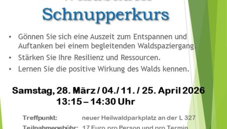 Waldbaden-Schnupperkurs | &copy; Stadt Lahnstein