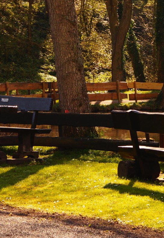 Sitzb&auml;nke | &copy; Tourist-Information Erlebnis Rheinbogen
