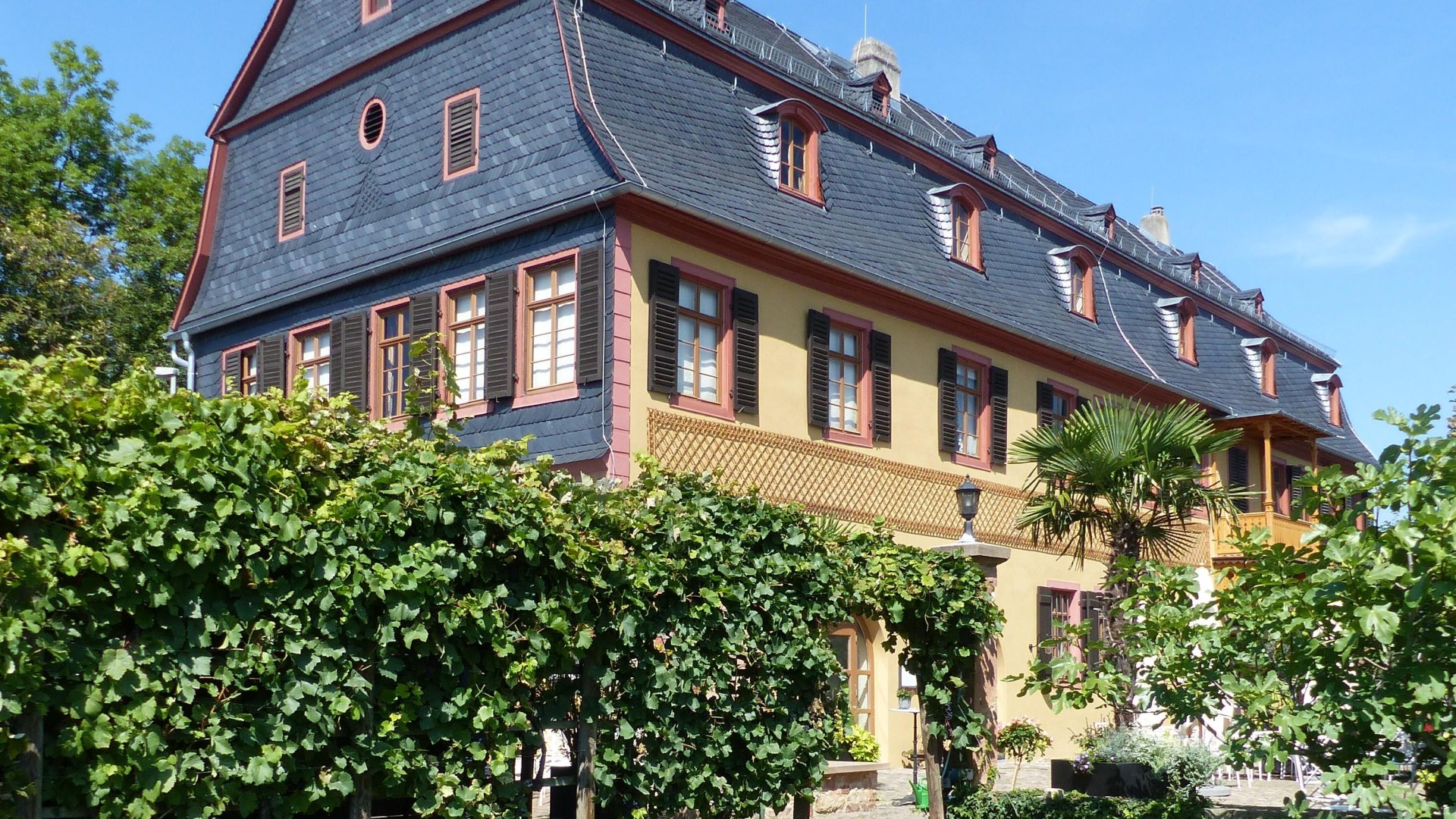 Stephan Dreier | &copy; Stephan Dreier