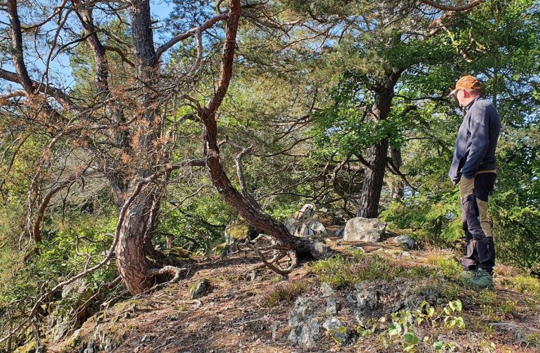 Wanderwarte am Kleinm&ouml;dersnack | &copy; T. Biersch