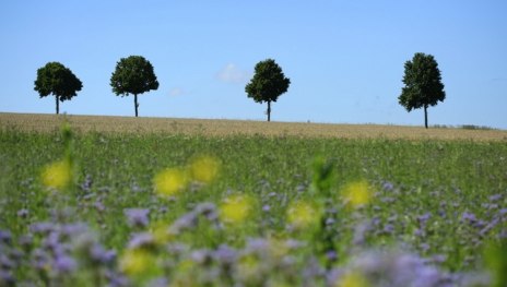 Loreleypfad "Auf Odins Spuren" | &copy; Martin Kubat, Loreley Touristik