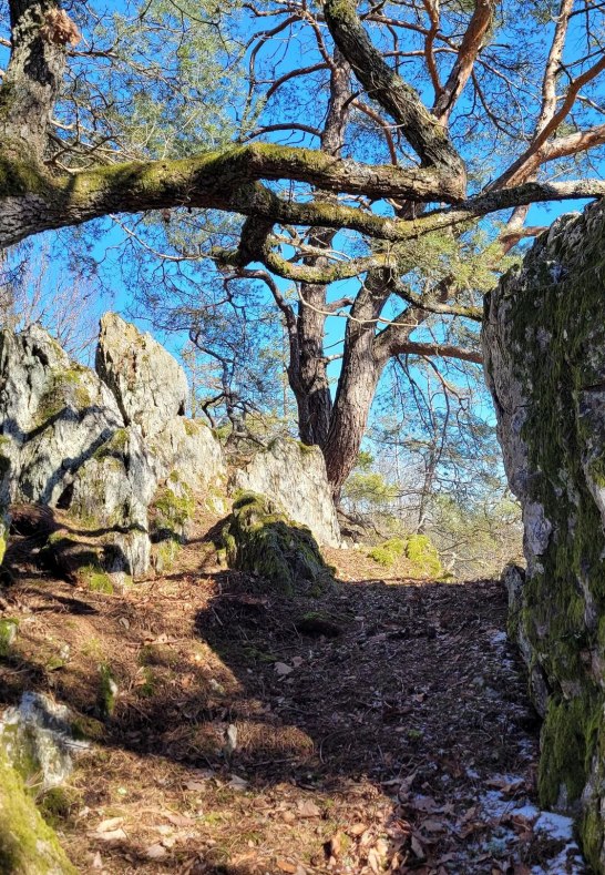 Kuckucksnacks g | &copy; E. Bender