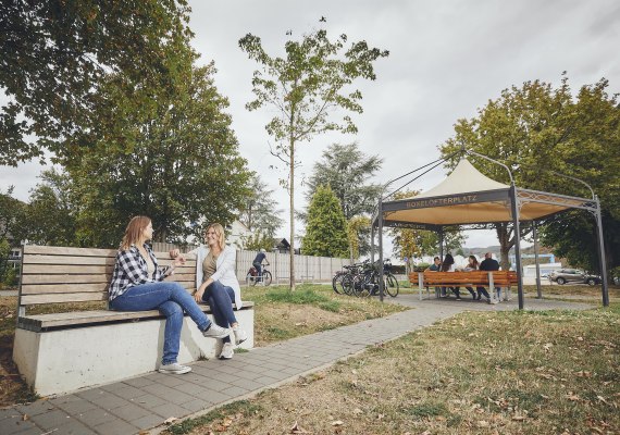 Bank | © Tourist-Info Erlebnis Rheinbogen Bank | © Tourist-Info Erlebnis Rheinbogen