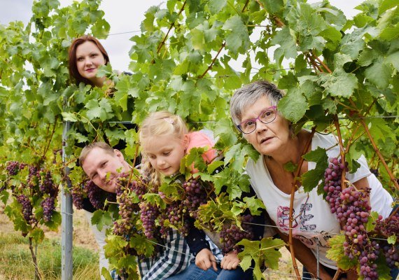 Weingut Kurt Bug | © Weingut Kurt Bug Weingut Kurt Bug | © Weingut Kurt Bug