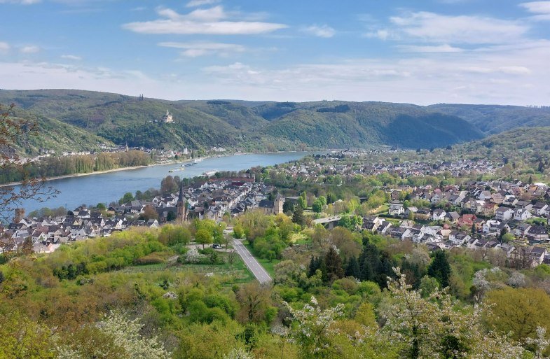 Aussicht L&uuml;tzelforst | &copy; TI Erlebnis Rheinbogen