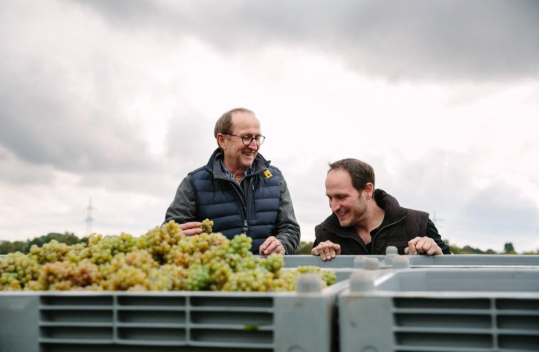 Weinlese Jakob Jung | © Weingut Jakob Jung