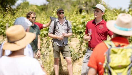 8 - 20230617-5X3A1499 | © Offenstein Erben Weingut & Weinhotel 8 - 20230617-5X3A1499 | © Offenstein Erben Weingut & Weinhotel