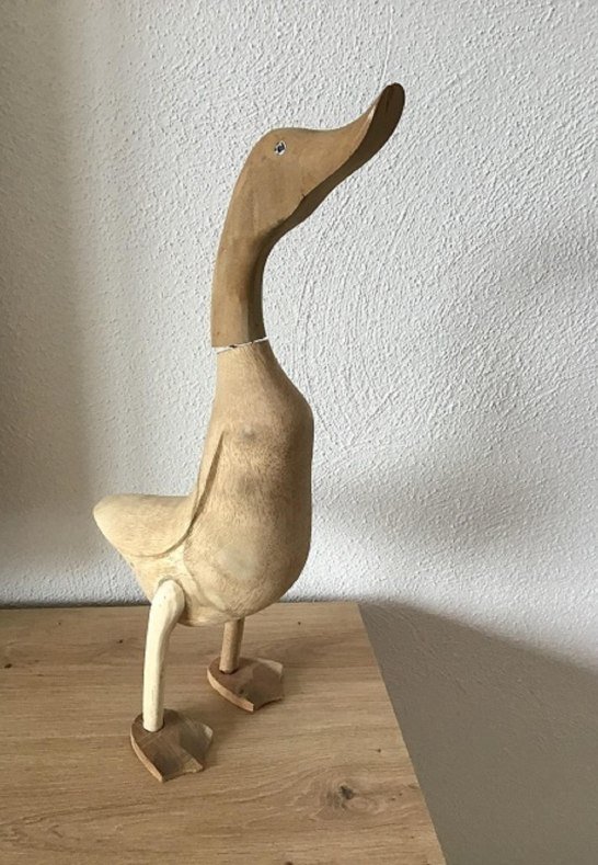 Dilli, die Ente | &copy; Dillenberger