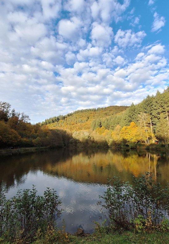 Schwanenteich Obebieber | © Rämer Schwanenteich Obebieber | © Rämer