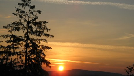 Burgweg St. Goar 2 | &copy; Sandra Schnober, Stadt St. Goar