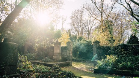 Alter Friedhof | &copy; Zimpfer_Photography