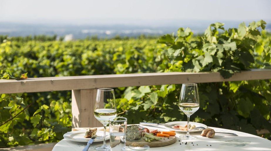 Terrasse Weingut Goldatzel | © Weingut Goldatzel Terrasse Weingut Goldatzel | © Weingut Goldatzel