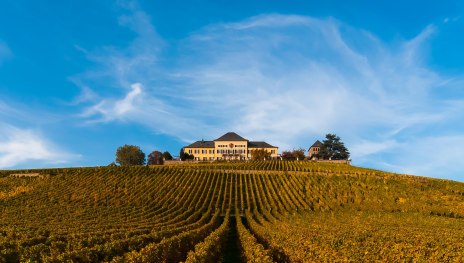 Schloss Johannisberg | &copy; Schloss Johannisberg