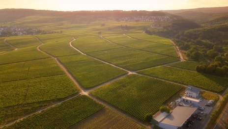 Weingut Sohns | &copy; Weingut Sohns