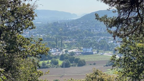 Remagen Rundwanderweg A5 - Panoramaweg | &copy; Tourist-Information Remagen, Romantischer Rhein Tourismus GmbH